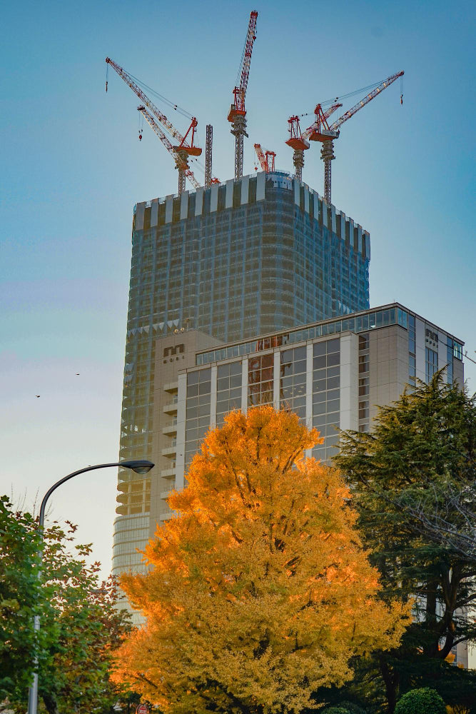 Why Contractors Across Vancouver Choose Canopus Supply